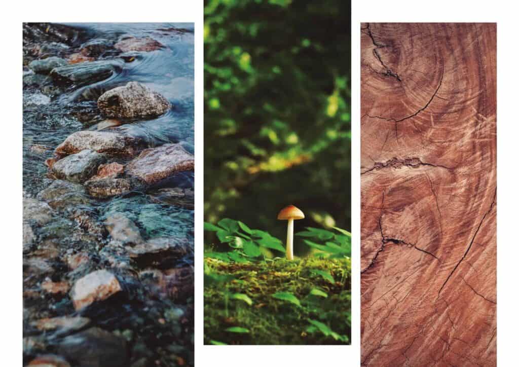 Eine Broschüre mit Fotos von Wald, Felsen und einem Bach an einem Wildbach.